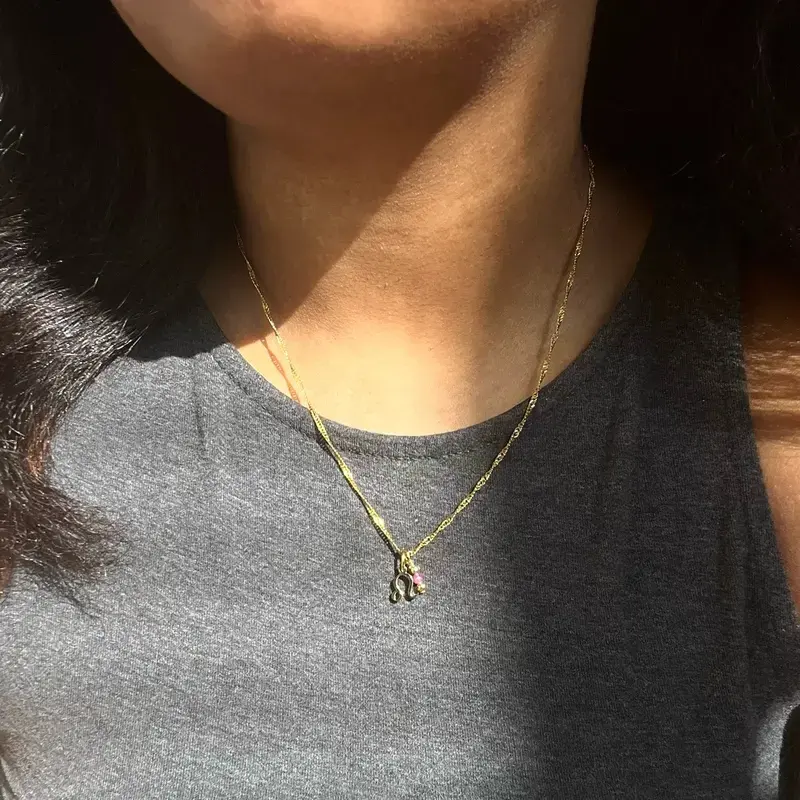 Zodiac & Birthstone Charm Necklace